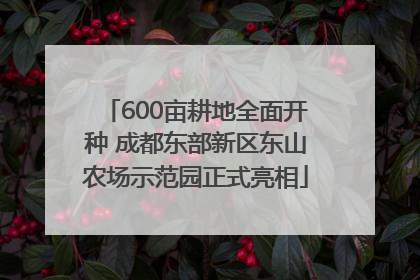 600亩耕地全面开种 成都东部新区东山农场示范园正式亮相