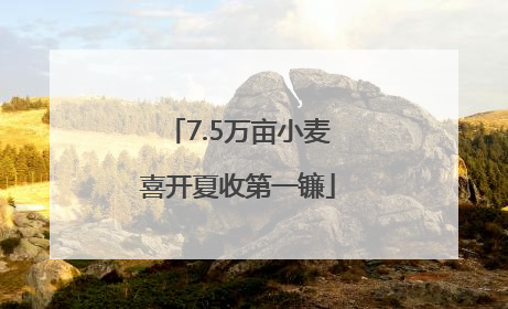 7.5万亩小麦喜开夏收第一镰