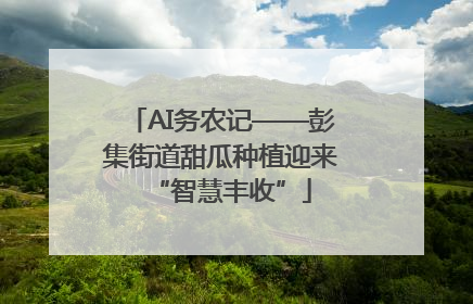 AI务农记——彭集街道甜瓜种植迎来“智慧丰收”