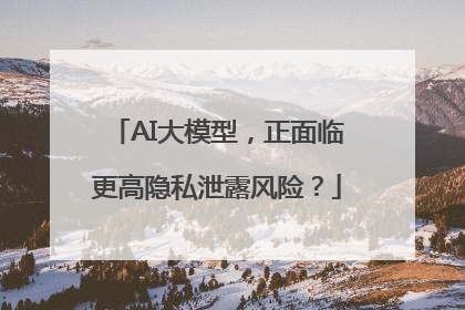 AI大模型，正面临更高隐私泄露风险？
