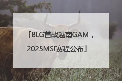 BLG首战越南GAM，2025MSI赛程公布